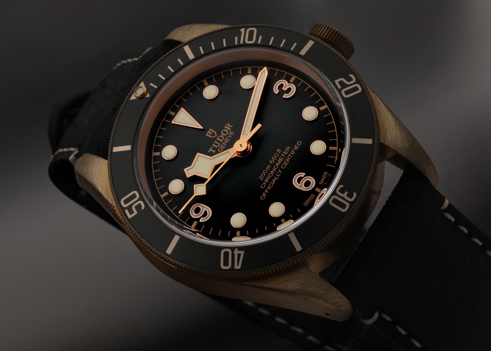 Tudor Heritage Black Bay Bronze Mens Watch 79250